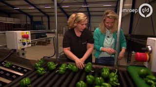 Kom in de kas - Uit met Esther