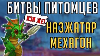 БИТВЫ ПИТОМЦЕВ В НАЗЖАТАРЕ И МЕХАГОНЕ - подробный гайд о прохождении каждого укротителя