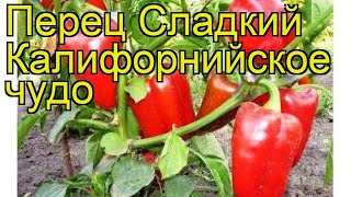 Перец сладкий Калифорнийское чудо. Краткий обзор, описание характеристик Kaliforniiskoe chudo
