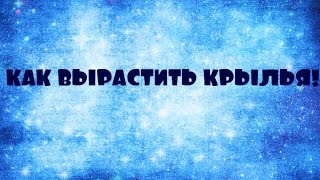 Как вырастить крылья! Предназначение.Отзыв для Анжелики Сердюковой