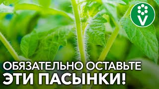 НИ В КОЕМ СЛУЧАЕ НЕ УДАЛЯЙТЕ ПАСЫНКИ, если увидите это!