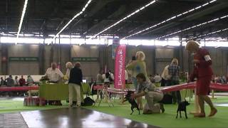 Чемпионат Мира 2011 Париж Франция Дювиналь Медерика Миранза кл. Промежуточный