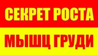 Как накачать огромную грудь