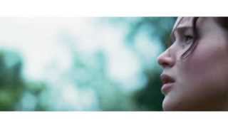 The Hunger Games and business strategy; a tutorial from Ashridge Business School's Jo Whitehead