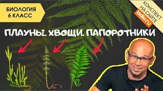 Плауны Хвощи Папоротники | Видеоурок по биологии 6 класс