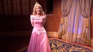 Cinderella and Sleeping Beauty at Princess Fairytale Hall - Princess Aurora Shows Us Around