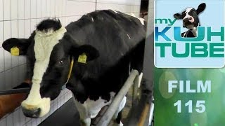 Petras Tagebuch - My KuhTube Film115