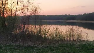 Озеро Должа. Рыбалка на фидер. Dolzh Lake. Feeder Fishing 2019