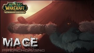 5.3 Fire Mage Basic DPS Guide