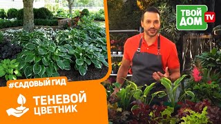 Теневой цветник: как подобрать растения? | Все в сад