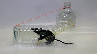 WooW! Water Bottle Mouse/Rat Trap