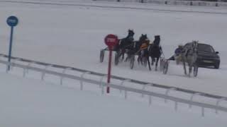 16 Февраля 2019   1 Заезд Приз имени Пермского конного завода