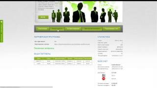 Business Dividend Вся Правда. Вывод. Проверка businessdividend