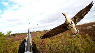 ЛУЧШИЕ МОМЕНТЫ С ОХОТЫ НА ГУСЯ И УТКУ .ТОЛЬКО ВЫСТРЕЛЫ. CZ mallard