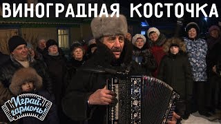 Играй, гармонь! | Валерий Клейко (Красноярский край) | Виноградная косточка