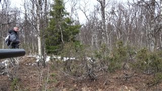 Охота в лесотундре / Hunting in the forest-tundra