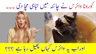 Coronavirus Effects || Coronavirs Started || Corona Virus kaise phela || HealthCare