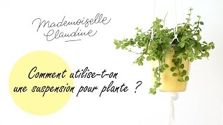 Comment utilise-t-on une suspension pour plante / accrocher/ régler/ arroser/ Mademoiselle Claudine