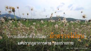 ณัฐปราชญ์คลินิกแพทย์แผนไทย Ad7