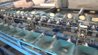 potato /mango/tomato/onion sorting /grading machine by weight