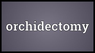 Orchidectomy Meaning