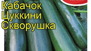 Кабачок цуккини Скворушка. Краткий обзор, описание характеристик, где купить семена cucurbita pepo