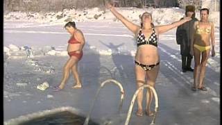 Купания моржей