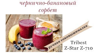 Черничный сорбет на ручной соковыжималке Tribest Z-star 710