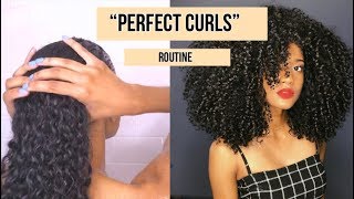 PERFECT Lasting Wash & Go | Definition + Volume
