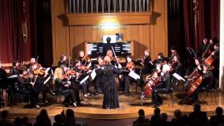 Камерный оркестр старинной и современной музыки "Ренессанс" (Сумы) 5