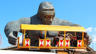 ALİNİN EĞLENCE PARK GEZİSİ Family fun kid video