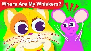 Where Are My Whiskers? Can you Help Tom the Cat Find His Whiskers | Fun Animal Song by Little Angel