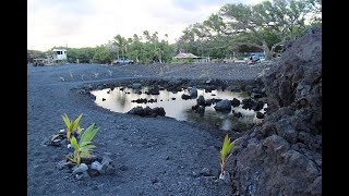 Lava transformed beloved Pohoiki into a new black sand beach
