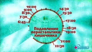 Здоровье. Биологические ритмы. (12.11.2017)