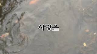 함께하는 미디어 사랑편