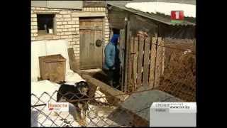 Проблемы развития личных подсобных хозяйств