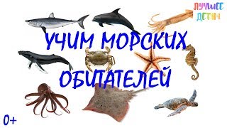Морские обитатели. Учим морских обитателей для детей на русском / Лучшее детям