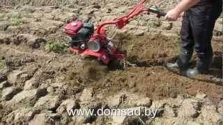 Культивируем мотоблоком "Салют5-Л6.5" ("Агат-Л6.5") после вспашки.