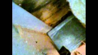 RIGID Borescope Camera Inspection