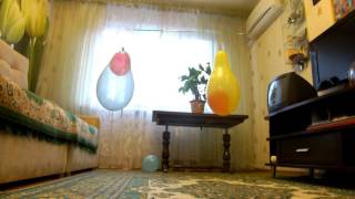 DSCF2737 Genazverev Эффект полостных структур 5 электрогравитация.