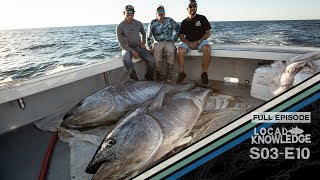 Cape Cod Harpooning Giant Bluefin Tuna - S03 E10 The Cape