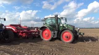 aardappels rooien herweijer s,gravendeel 2016