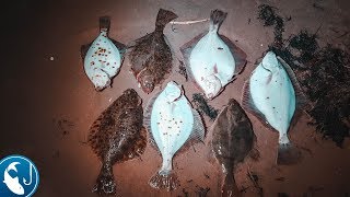 Ловля камбалы на Балтике. Как ловить камбалу в море на фидер в ноябре