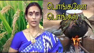 How to celebrate Pongal festival பொங்கல் கொண்டாடலாம் வாங்க