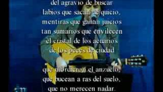 Peces de Ciudad