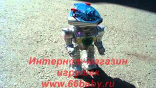 Интерактивный робот «Шунтик»