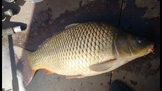 НА дальний КОРДОН к морю за САЗАНАМИ