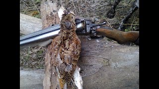 Охота с легавой: вальдшнепы и погоня за фазаном. Осень 2017