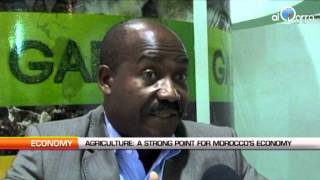 Agriculture: A strong point for the Moroccan economy
