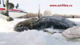 Аэросани "Патруль" за 2 минуты
